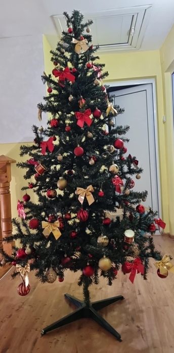 Коледна елха   .