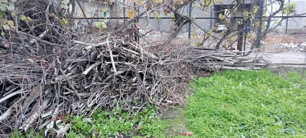 Otin. Tosinlar. Xam. Bor