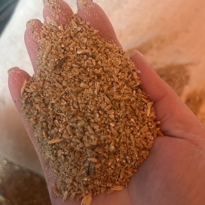 Отруби кебек, арпа, бидай