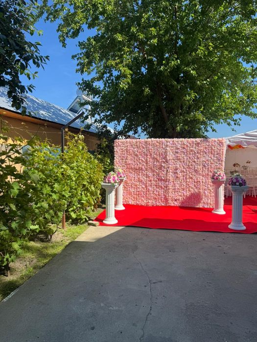 Servicii Catering Evenimente – Platouri Festive & Închiriere Logistică