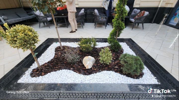 Gazon xizmati bor ekish 25 ming tayor gazon yotqizish 60 mingdan