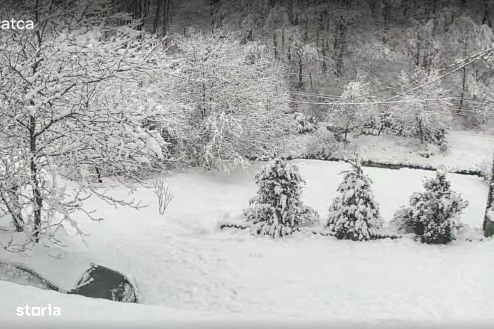 Casa de vacanta in inima naturii – Valea Bratcutei, jud. Bihor