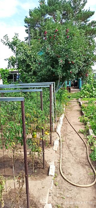 Продам дачу сад Речкнька