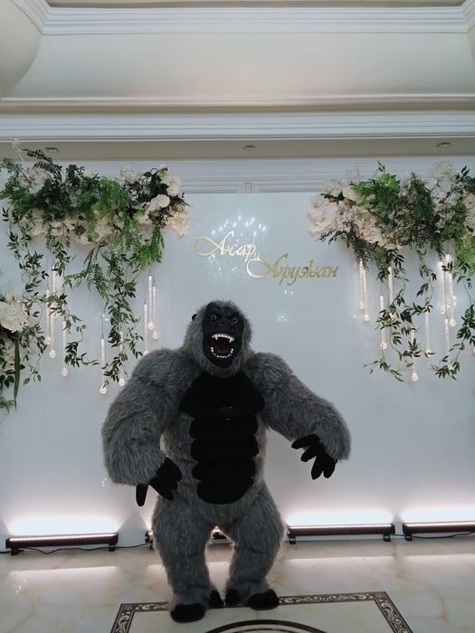 Аниматор Мишки Горилла Фантан