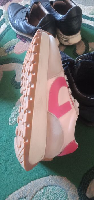 Красовка разные  зима лето