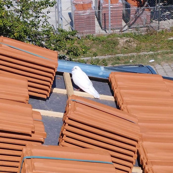 Цялостни ремонти до ключ – Качествено, бързо и на добра цена!