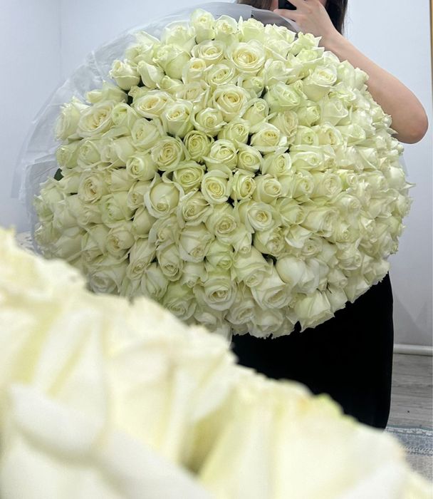 151 шт  роза Rilak