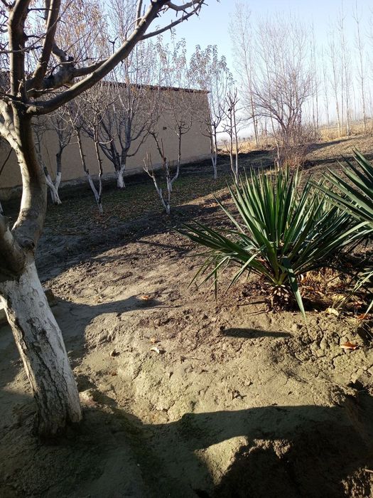 Навоий вилояти Хатирчи туманида Ховли сотилади 13 сотих, 5 хона.