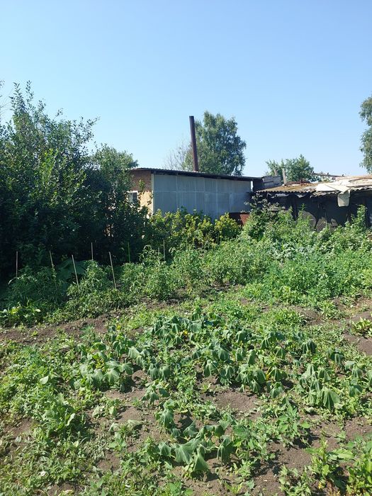 Дача ,Ромашка по мамлютской трассе