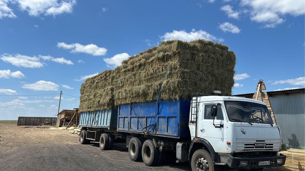 Продам сено свежи покос