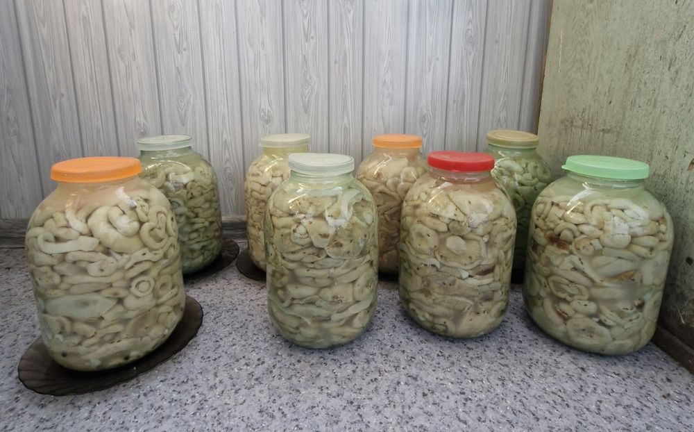 Продам грибы солёные. Грузди