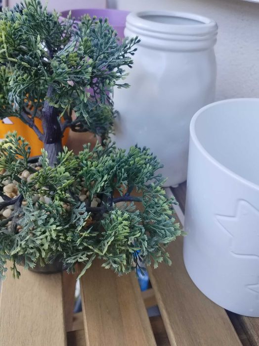 Кашпи и ваза за 10 лв всичко