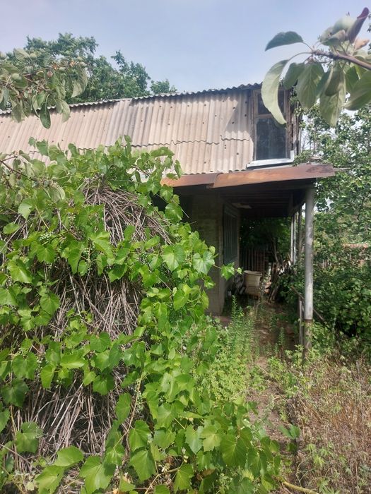Продаётся дача.Здоровье.НПЗ