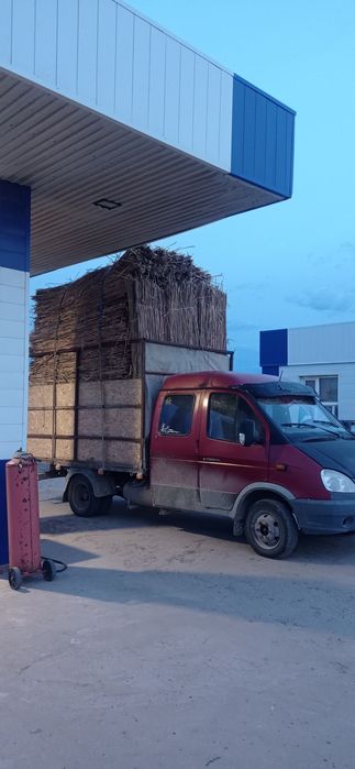 Қамыс (маты плита)