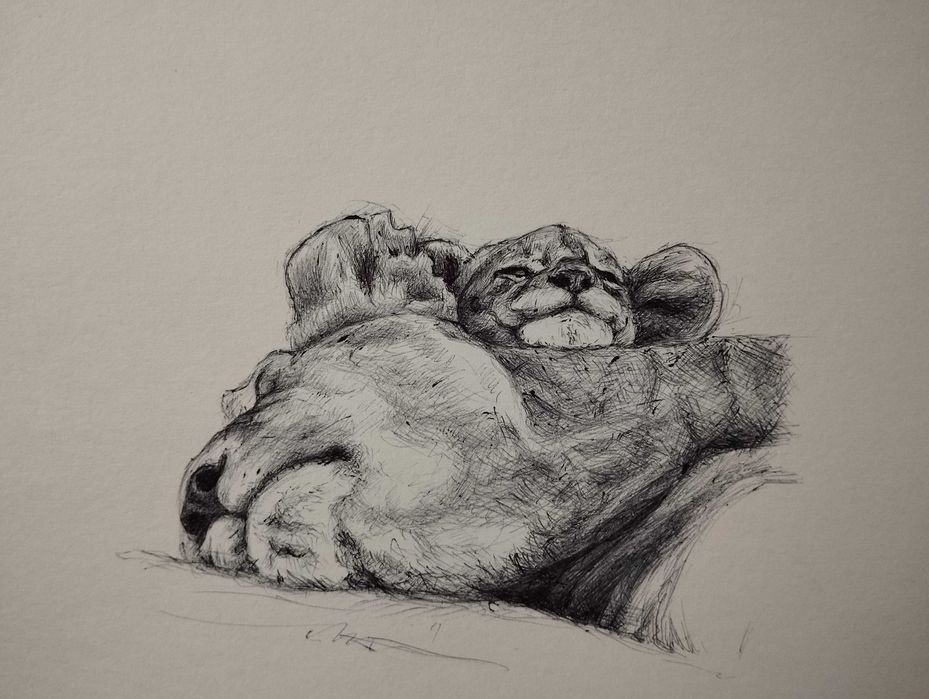 Картини рисувани с химикал