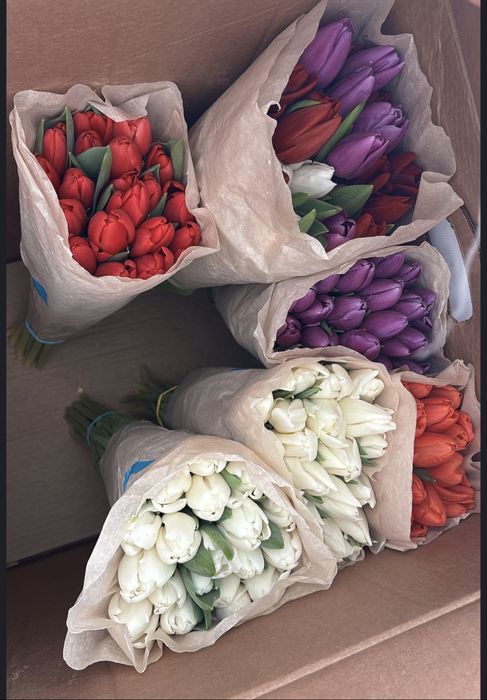 Тюльпаны оптом и в розницу  24на7