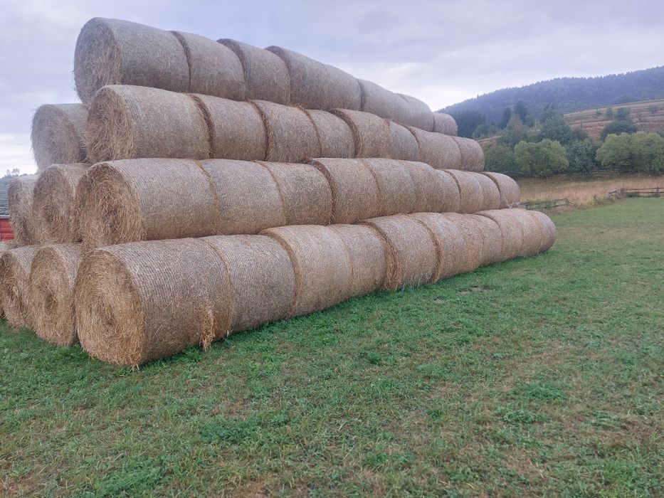 Baloti de paie de grau