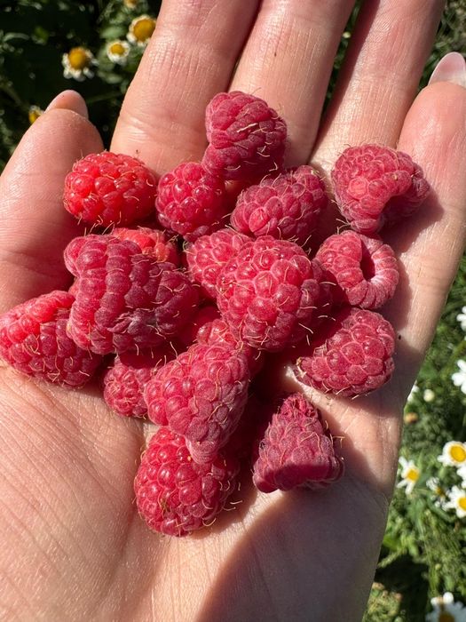 Дача "Обогатитель"