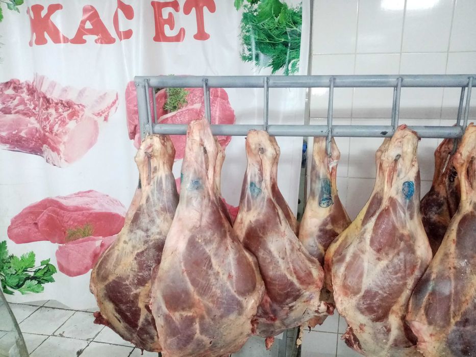 мясо говядина, ляжки