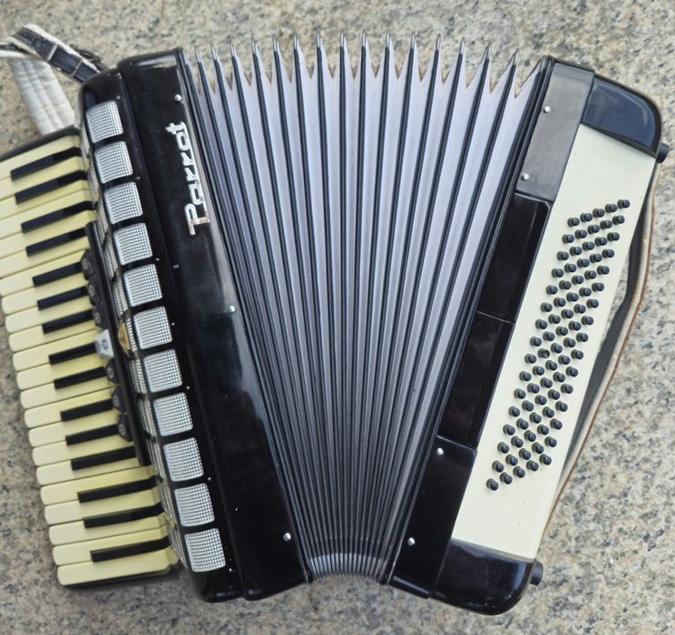 Acordeon Parrot cu 80 bași negru