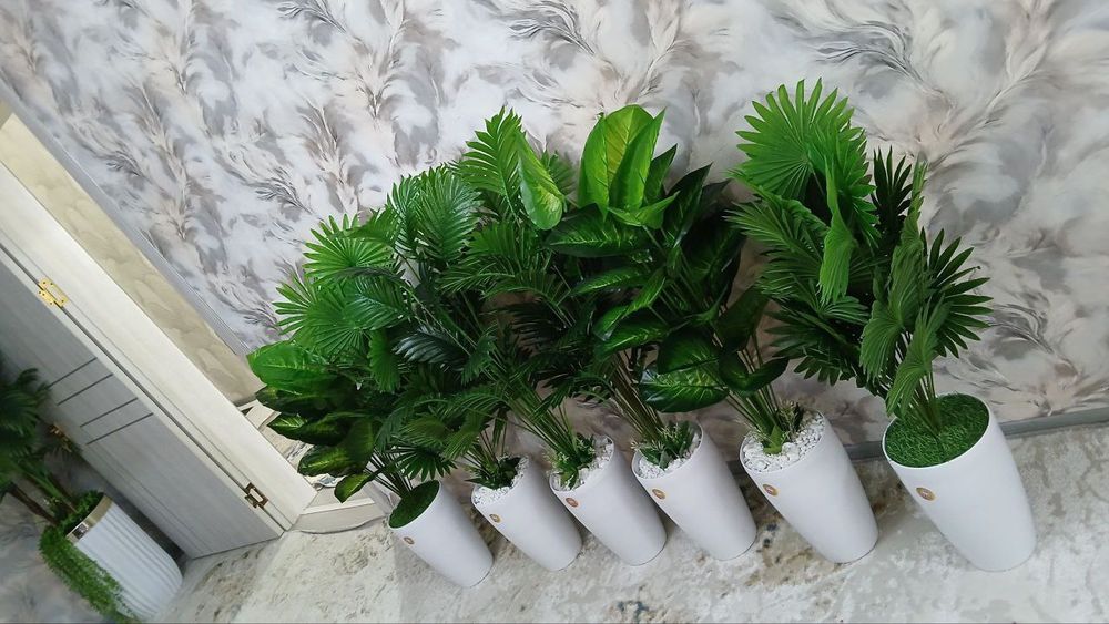 Катта суний гуллар оптом нархларда