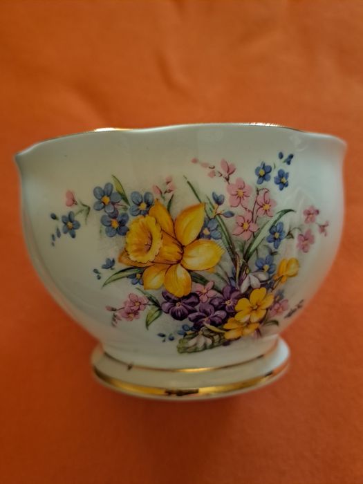 Малка каничка и захарничка