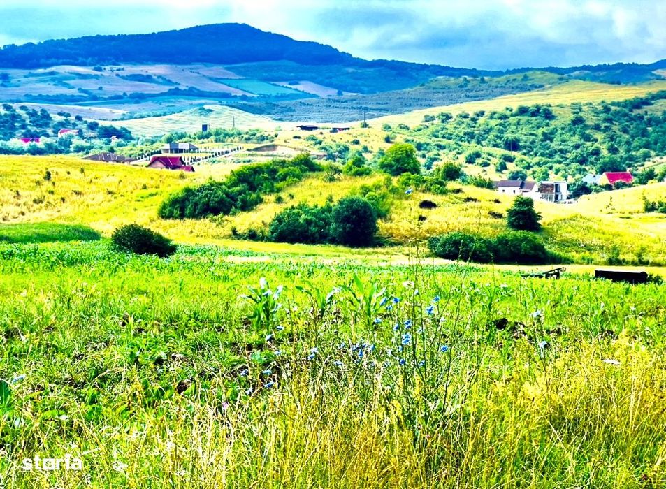 Teren la Soare zona Sigmirului !