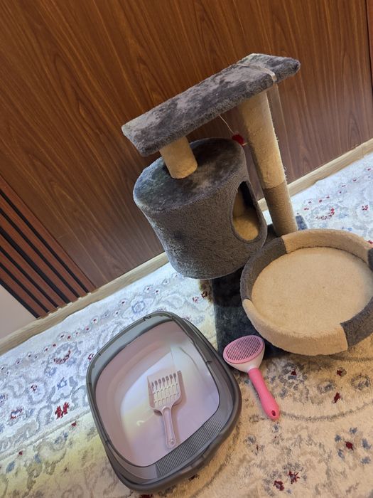 Домик для кошки и аксессуары