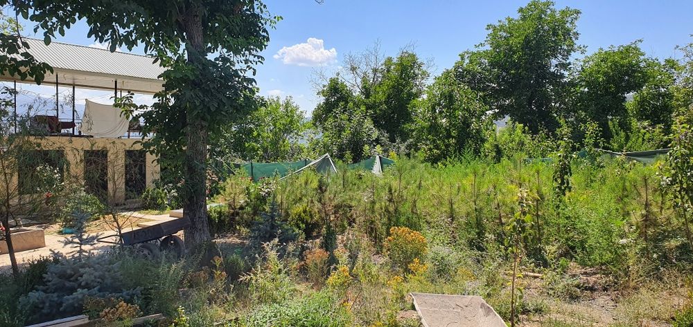 Дача учун ер сотилади.