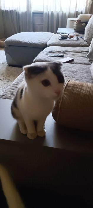 Очень ласковый мальчик