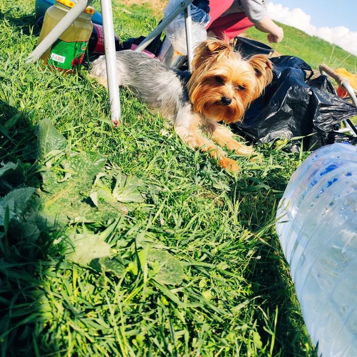 Лакки ищет невесту!