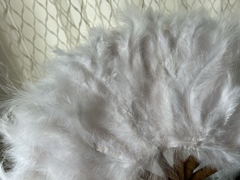 Бяло ветрило с пера