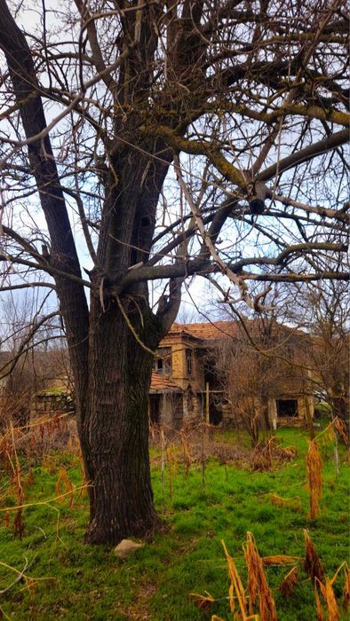 Къща село Златина