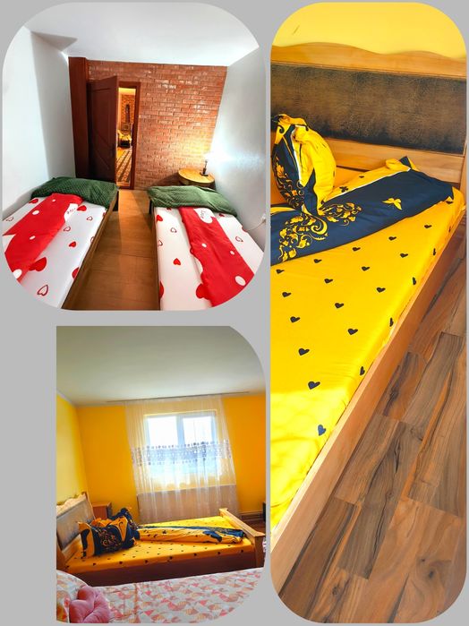 Cabana(Tara Motilor)--Cabana PIN 1000m