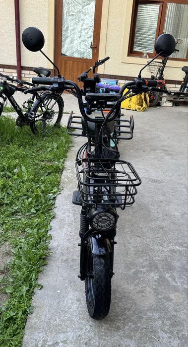 Drongo Monstr Дронго Монстр
