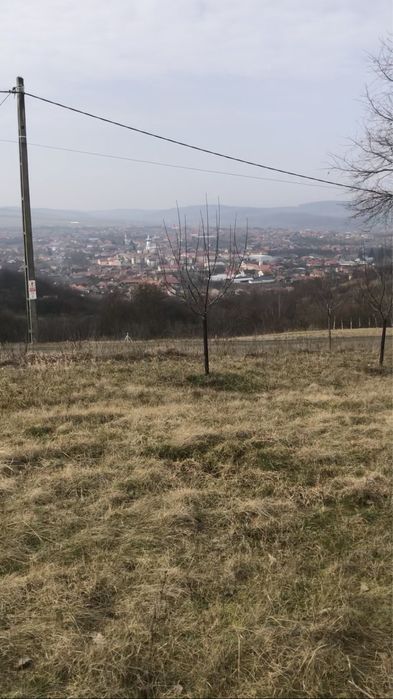 Vand 10ari , livada, ideal pentru cabana!