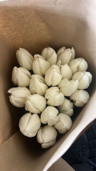 Тюльпаны оптом и в розницу