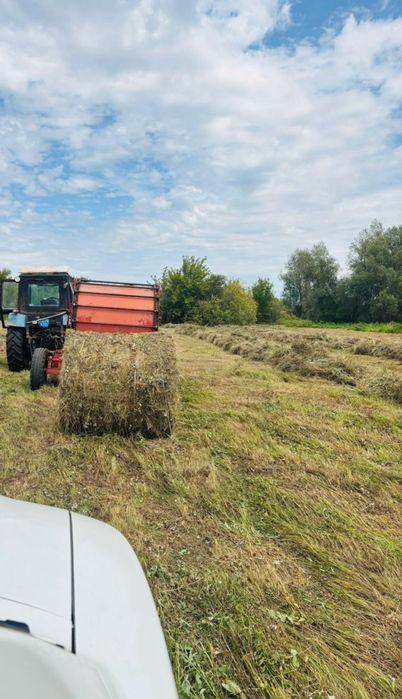 Сено в рулоне 300-350кг