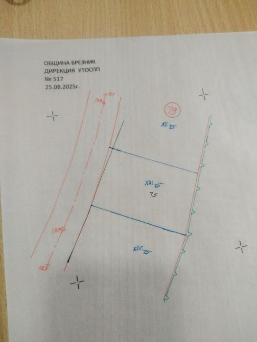 Продава се Парцел в с. Ребро, Област Перник - 1100 кв.м за 33 €/кв.м - Снимка #2