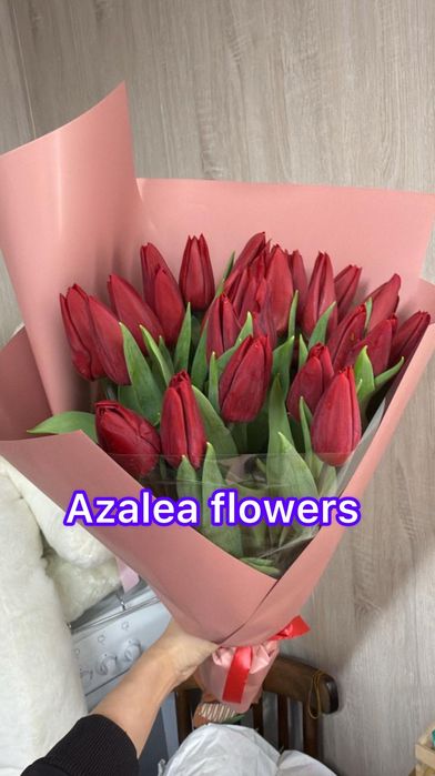 Тюльпаны опт розница цветы розы