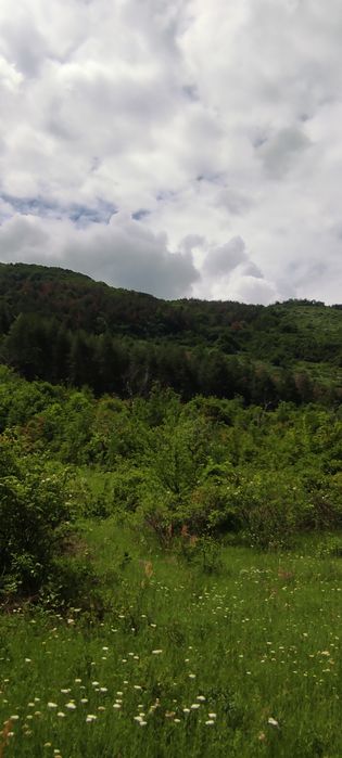 Земя за къща вила или ранчо