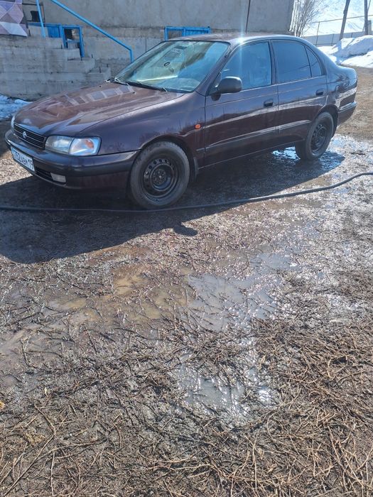 Продам срочно карину е