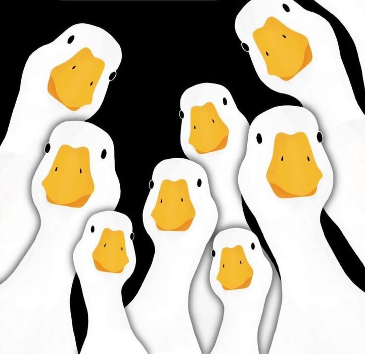 Обмен подушки  ,перина ,пух  ,перо  от гусей и уток  на новые  подушки