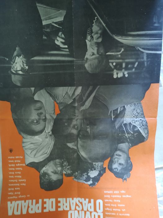 afișe cinema filme românești 200 lei toate