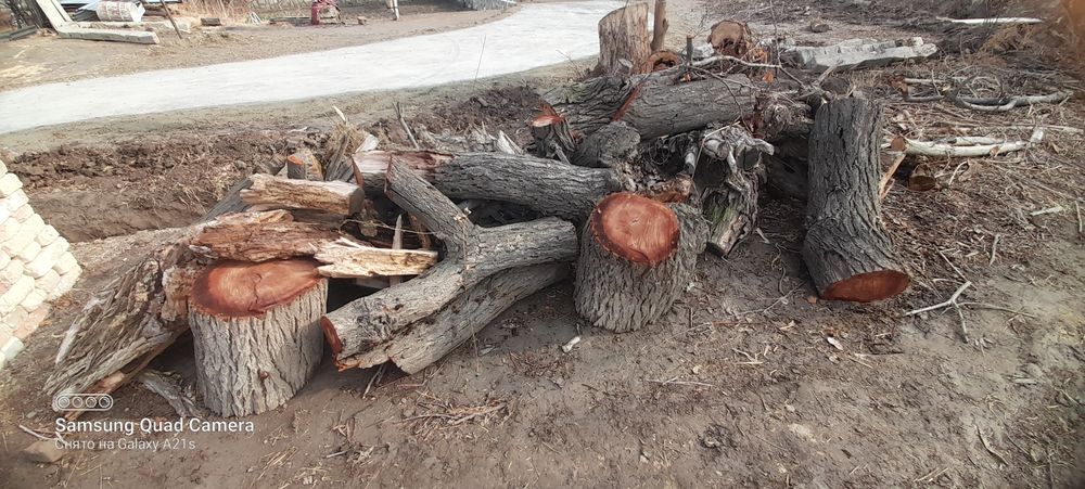 Утин сотилади срочна