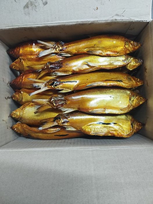 Продам рыбу: пелядь,карась,щука