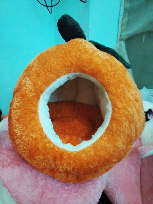 Асал уйчаларимиз сотувда 130 000 ва 150 000 сум