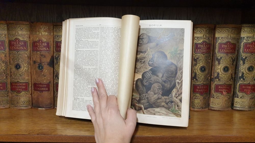 Colecție completă „A Pallas Nagy Lexikona” (1884–1897), 18 volume, edi