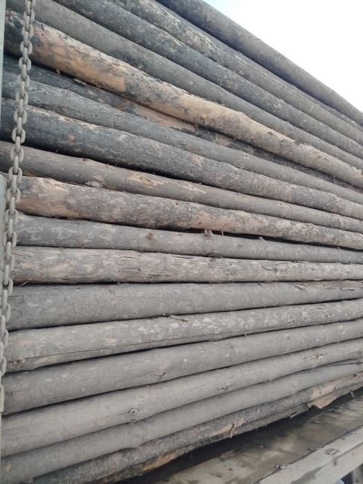 Борене,Балка,Сосна,Кругляк