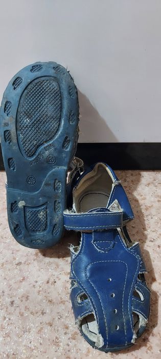 Отдам    бесплатно